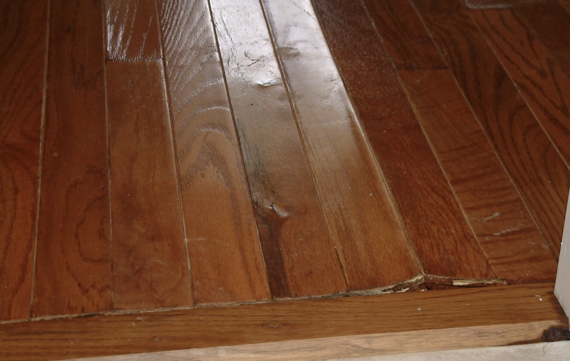 Water intrusion at flooring and wall edge from a frozen hose bib in Edmond Oklahoma